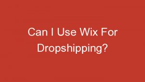 Read more about the article Can I Use Wix For Dropshipping?