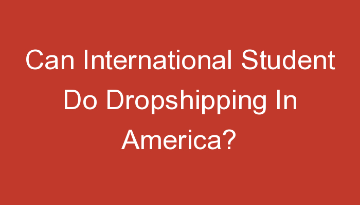 You are currently viewing Can International Student Do Dropshipping In America?