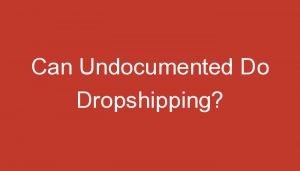 Read more about the article Can Undocumented Do Dropshipping?