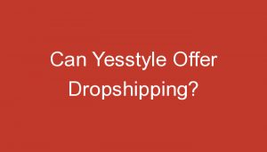 Read more about the article Can Yesstyle Offer Dropshipping?