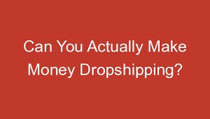 Read more about the article Can You Actually Make Money Dropshipping?