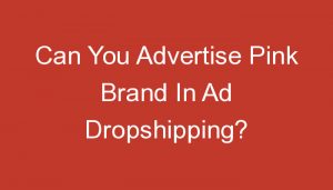 Read more about the article Can You Advertise Pink Brand In Ad Dropshipping?