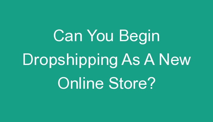 You are currently viewing Can You Begin Dropshipping As A New Online Store?