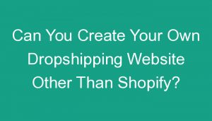 Read more about the article Can You Create Your Own Dropshipping Website Other Than Shopify?
