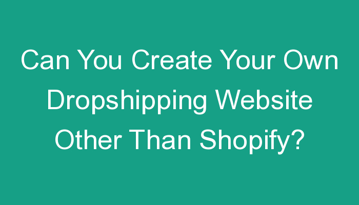 You are currently viewing Can You Create Your Own Dropshipping Website Other Than Shopify?