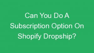 Read more about the article Can You Do A Subscription Option On Shopify Dropship?