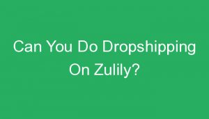 Read more about the article Can You Do Dropshipping On Zulily?