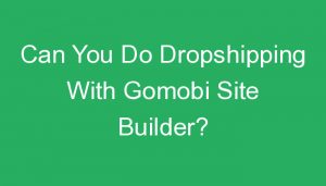 Read more about the article Can You Do Dropshipping With Gomobi Site Builder?