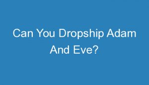 Read more about the article Can You Dropship Adam And Eve?