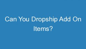 Read more about the article Can You Dropship Add On Items?