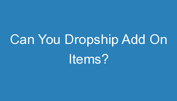 You are currently viewing Can You Dropship Add On Items?