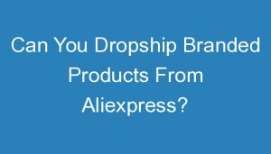 Read more about the article Can You Dropship Branded Products From Aliexpress?