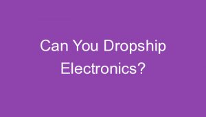 Read more about the article Can You Dropship Electronics?