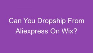 Read more about the article Can You Dropship From Aliexpress On Wix?