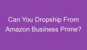 Read more about the article Can You Dropship From Amazon Business Prime?