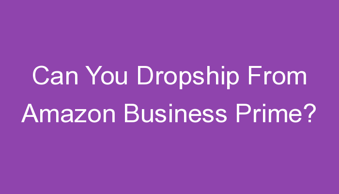 You are currently viewing Can You Dropship From Amazon Business Prime?