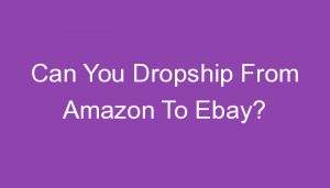 Read more about the article Can You Dropship From Amazon To Ebay?