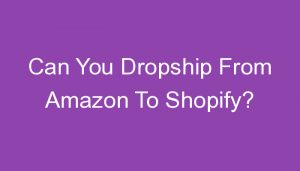 Read more about the article Can You Dropship From Amazon To Shopify?