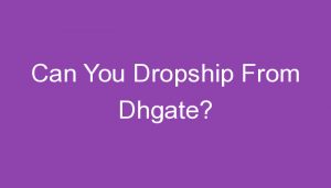 Read more about the article Can You Dropship From Dhgate?