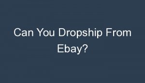 Read more about the article Can You Dropship From Ebay?