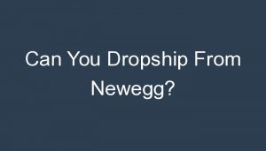 Read more about the article Can You Dropship From Newegg?