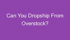 Read more about the article Can You Dropship From Overstock?