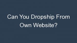 Read more about the article Can You Dropship From Own Website?