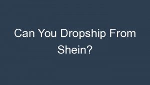 Read more about the article Can You Dropship From Shein?