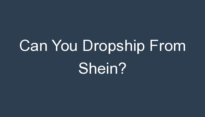 You are currently viewing Can You Dropship From Shein?