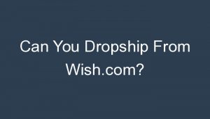 Read more about the article Can You Dropship From Wish.com?