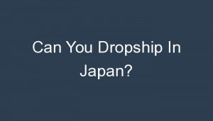 Read more about the article Can You Dropship In Japan?