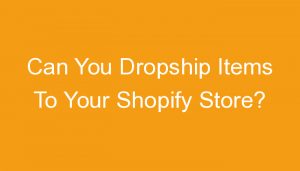 Read more about the article Can You Dropship Items To Your Shopify Store?