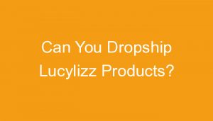 Read more about the article Can You Dropship Lucylizz Products?