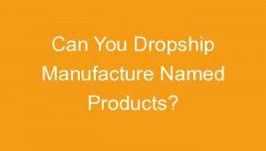 Read more about the article Can You Dropship Manufacture Named Products?