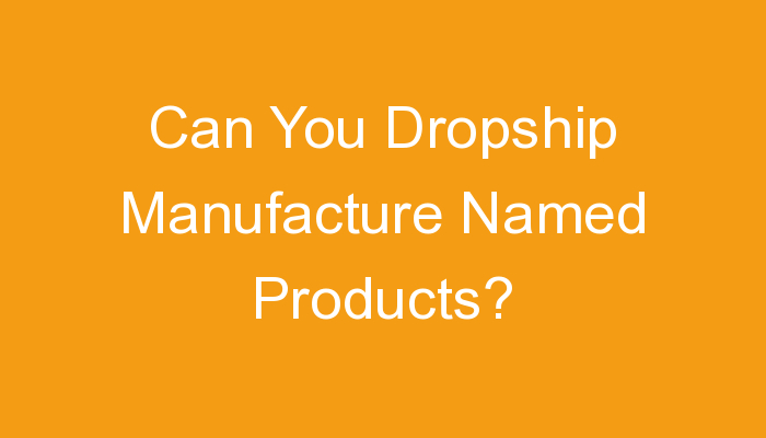 You are currently viewing Can You Dropship Manufacture Named Products?