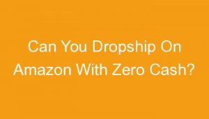 Read more about the article Can You Dropship On Amazon With Zero Cash?