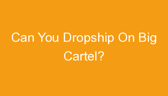 You are currently viewing Can You Dropship On Big Cartel?