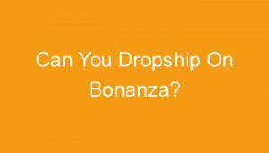Read more about the article Can You Dropship On Bonanza?