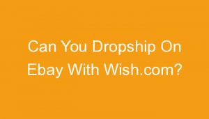 Read more about the article Can You Dropship On Ebay With Wish.com?