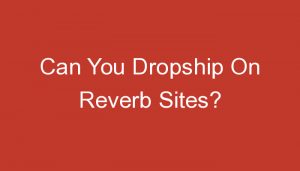 Read more about the article Can You Dropship On Reverb Sites?