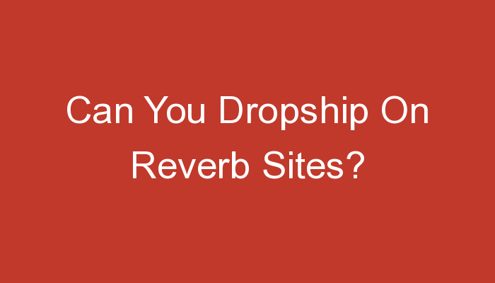 You are currently viewing Can You Dropship On Reverb Sites?