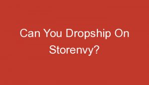 Read more about the article Can You Dropship On Storenvy?
