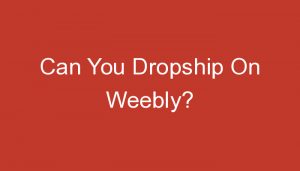 Read more about the article Can You Dropship On Weebly?