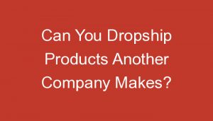 Read more about the article Can You Dropship Products Another Company Makes?