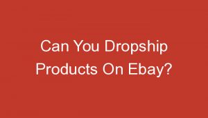 Read more about the article Can You Dropship Products On Ebay?