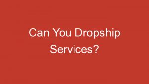 Read more about the article Can You Dropship Services?