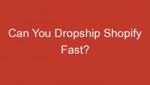 Read more about the article Can You Dropship Shopify Fast?