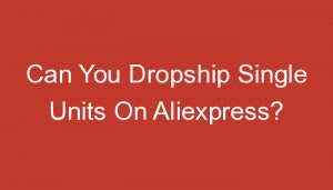 Read more about the article Can You Dropship Single Units On Aliexpress?