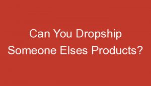 Read more about the article Can You Dropship Someone Elses Products?