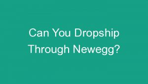 Read more about the article Can You Dropship Through Newegg?
